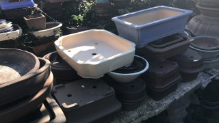 どんな盆栽鉢なら売れるの？ 高価買取できるものとできないもの