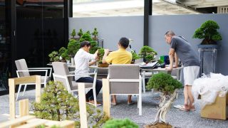 岳盆栽が盆栽買取を行う理由