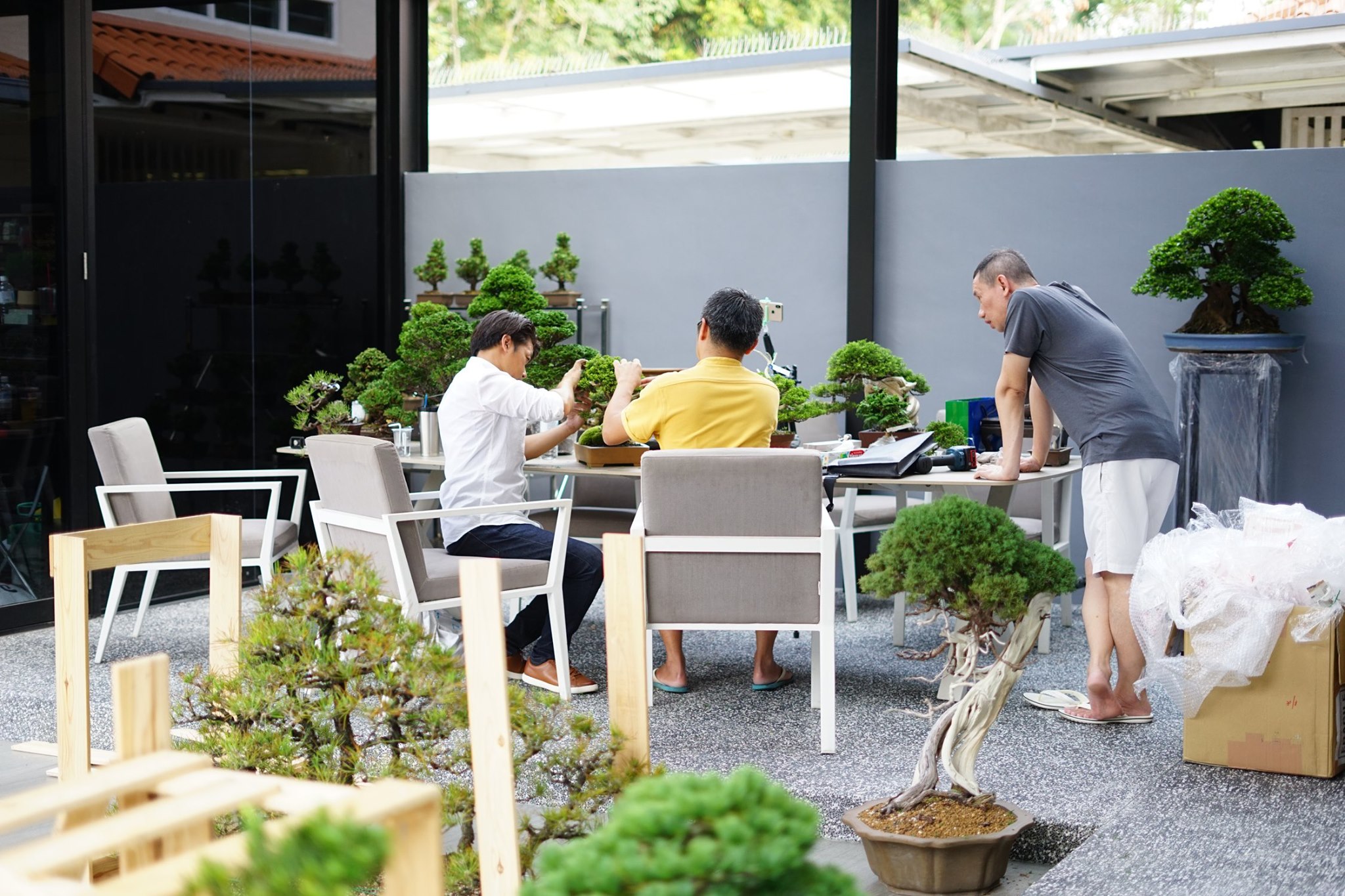 岳盆栽が盆栽買取を行う理由