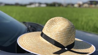 愛媛県から盆栽をお売りになりたい方へ