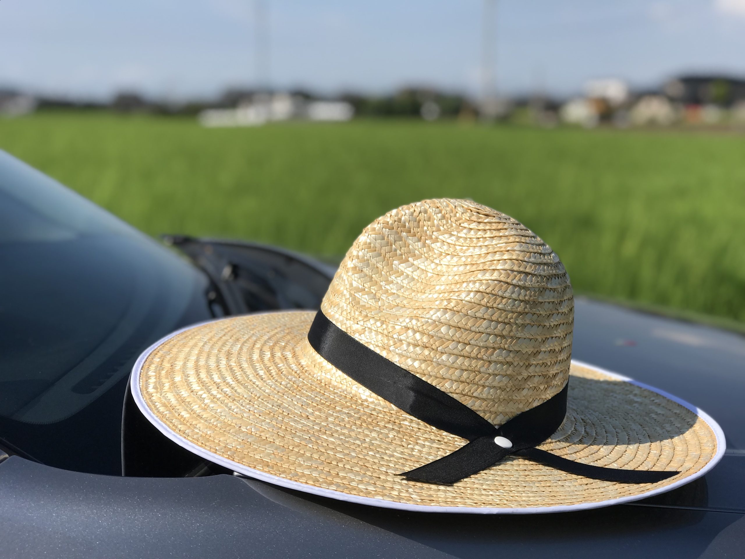 愛媛県から盆栽をお売りになりたい方へ