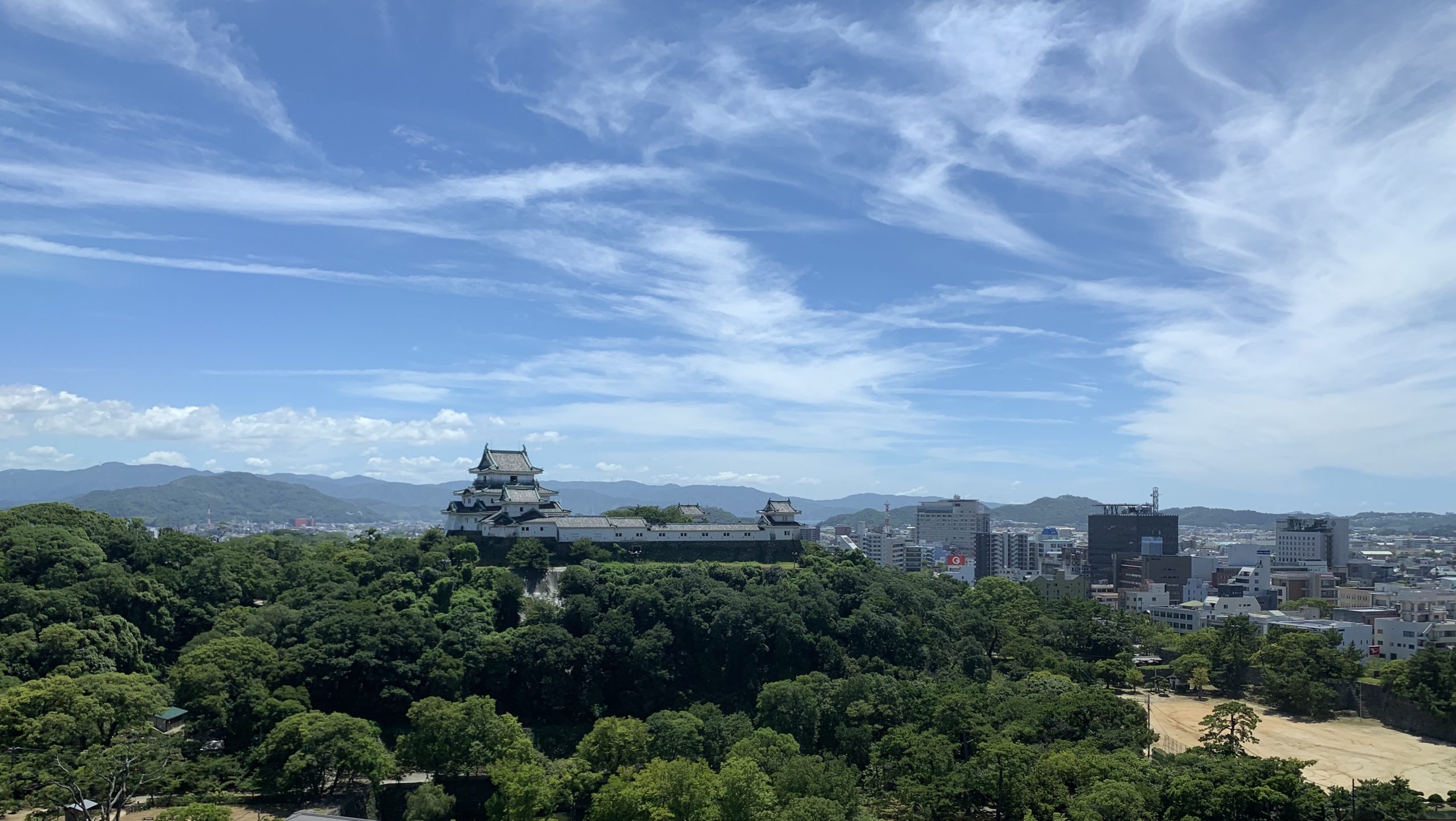 和歌山で盆栽をお売りになりたい方へ | 大切な盆栽を次の持ち主へ