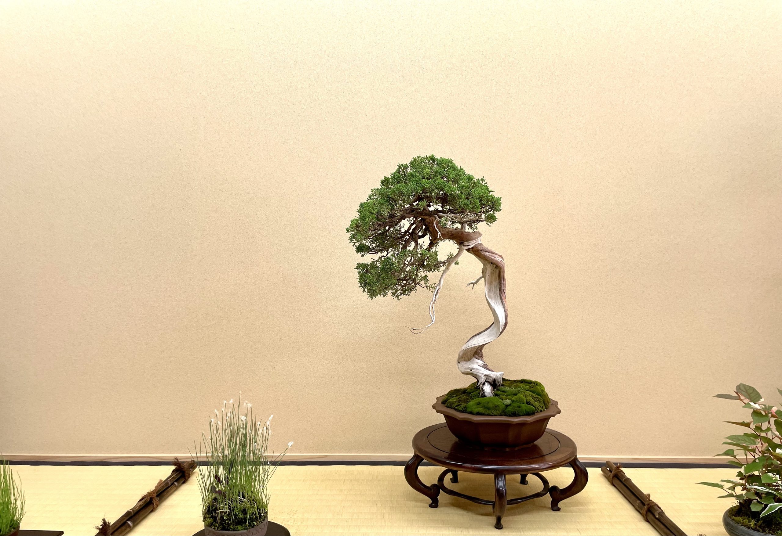 宮城県から盆栽をお売りになりたい方へ