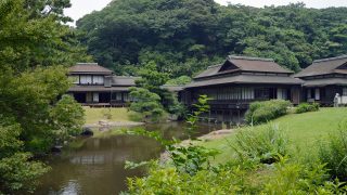 神奈川県で盆栽をお売りになりたい方へ神奈川県