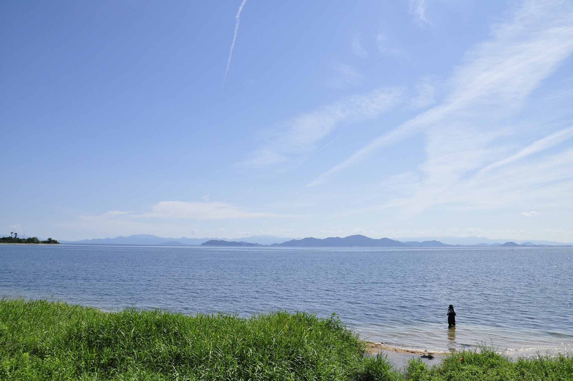 滋賀県で盆栽をお売りになりたい方へ