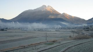 大分県から盆栽をお売りになりたい方へ
