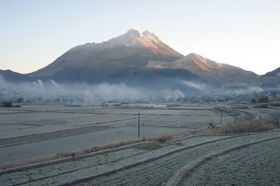 大分県から盆栽をお売りになりたい方へ
