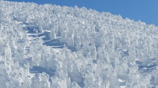 山形県から盆栽をお売りになりたい方へ