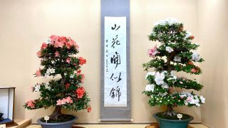 宇都宮市から盆栽をお売りになりたい方へ