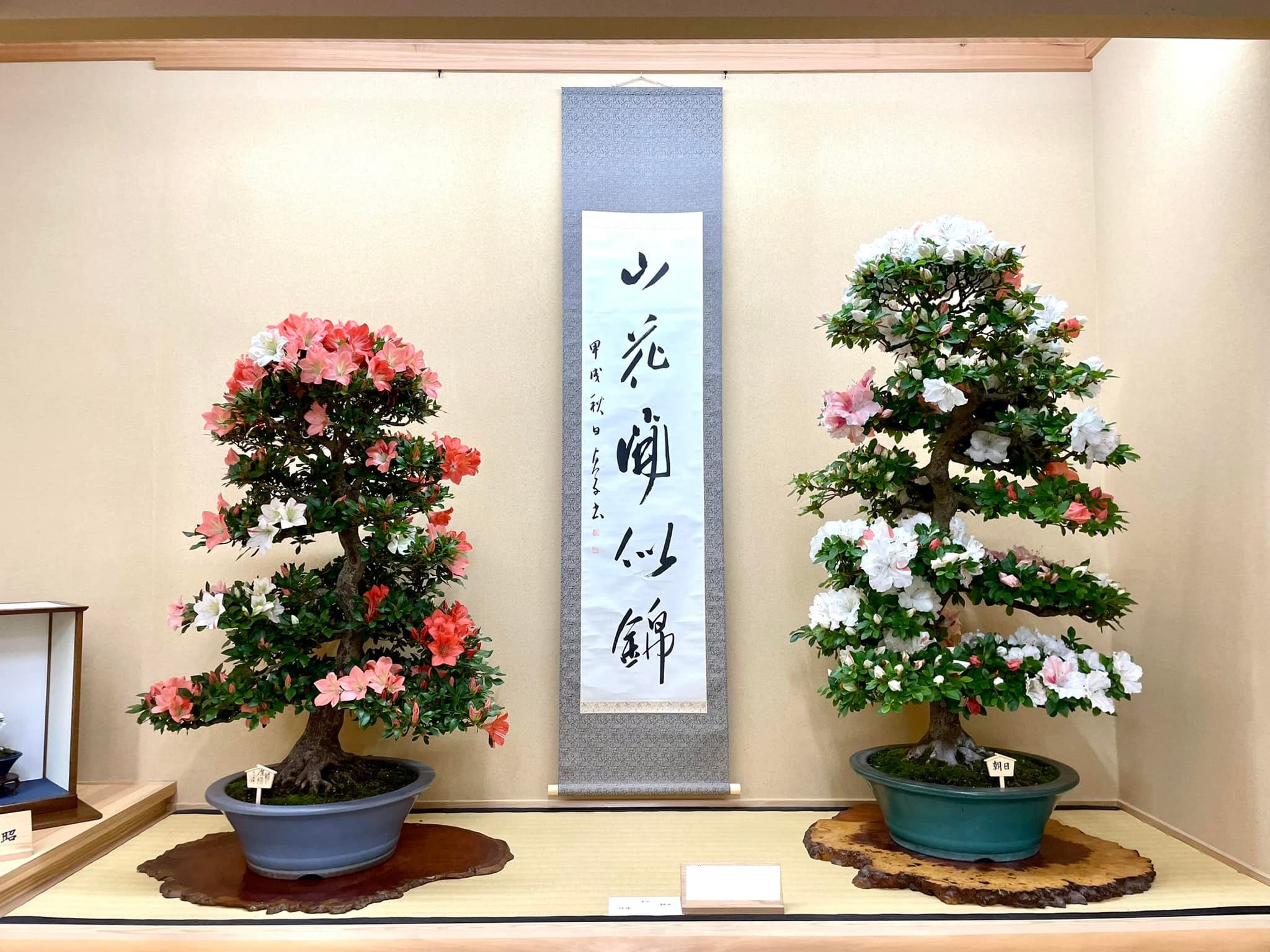 宇都宮市から盆栽をお売りになりたい方へ