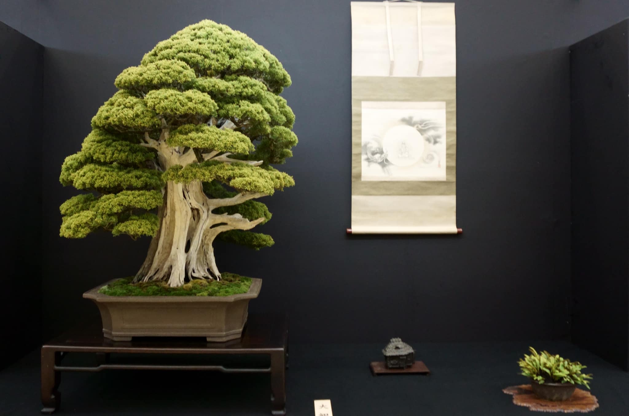 秋田県から盆栽をお売りになりたい方へ