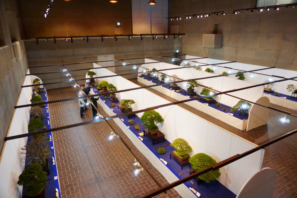 国風盆栽展
