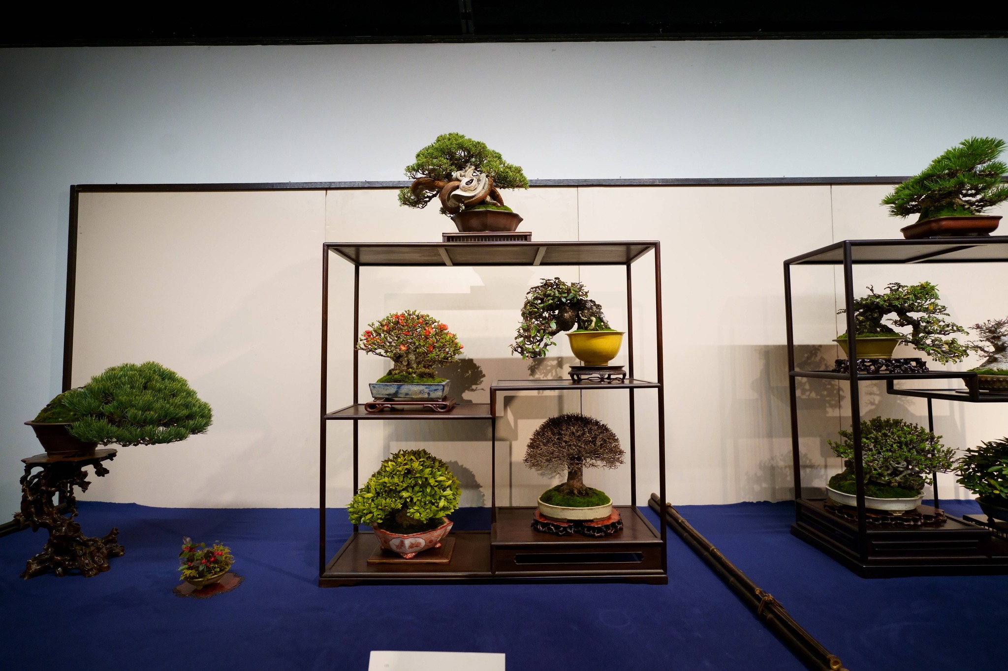 千葉県から盆栽をお売りになりたいかたへ