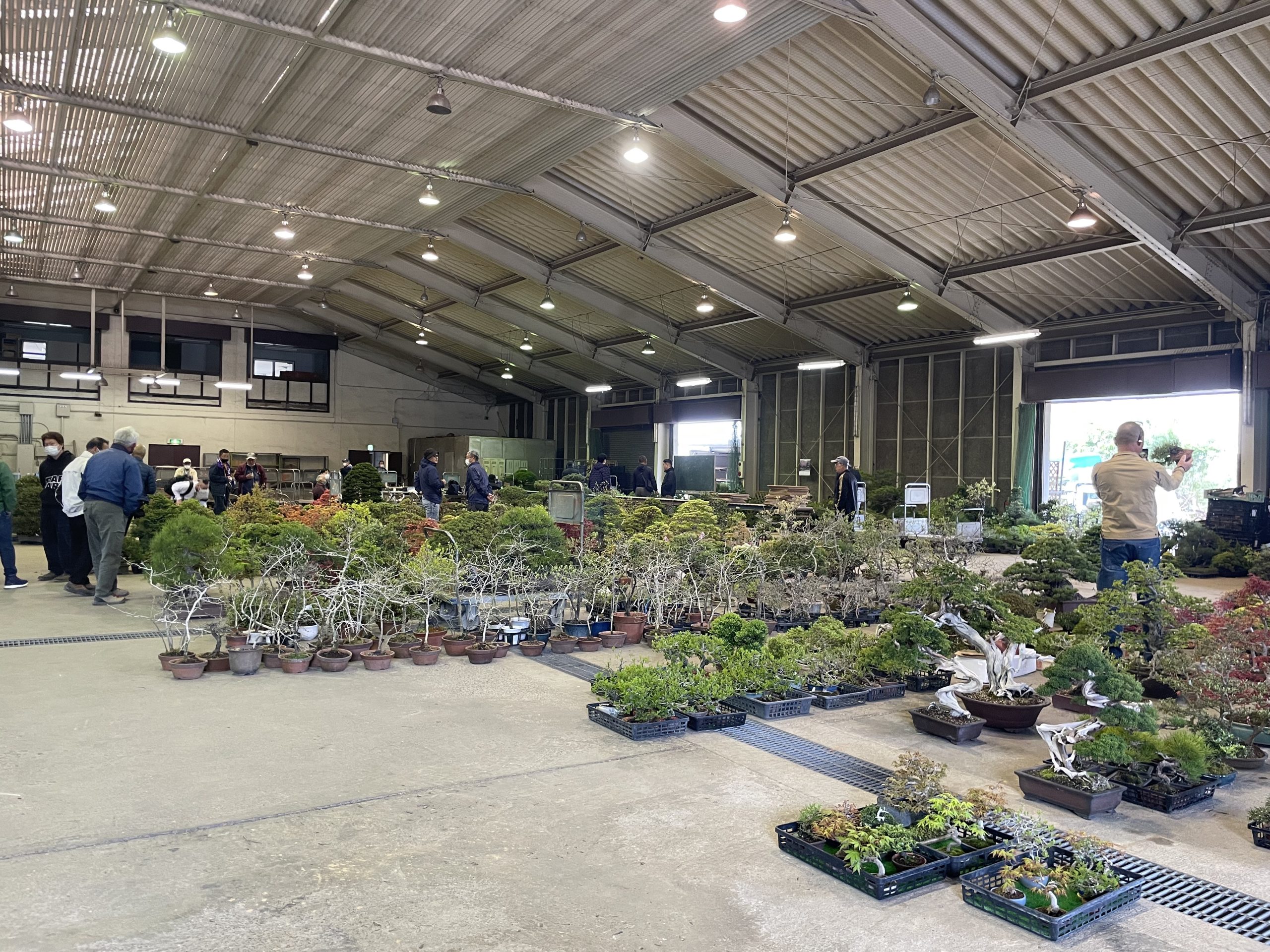 全国対応している盆栽買取業者はどこ？即日対応もしているの？