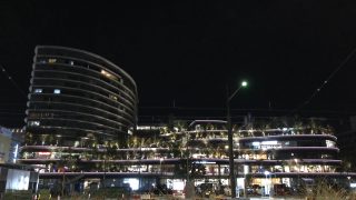 熊本県から盆栽をお売りになりたい方へ