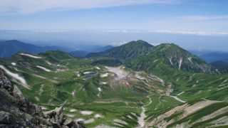 富山県から盆栽をお売りになりたい方へ