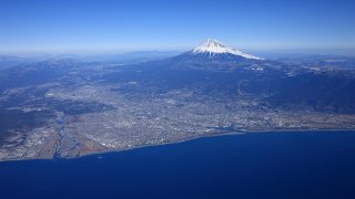 静岡県から盆栽をお売りになられる方へ