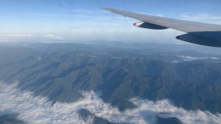 徳島県から盆栽をお売りになりたい方へ