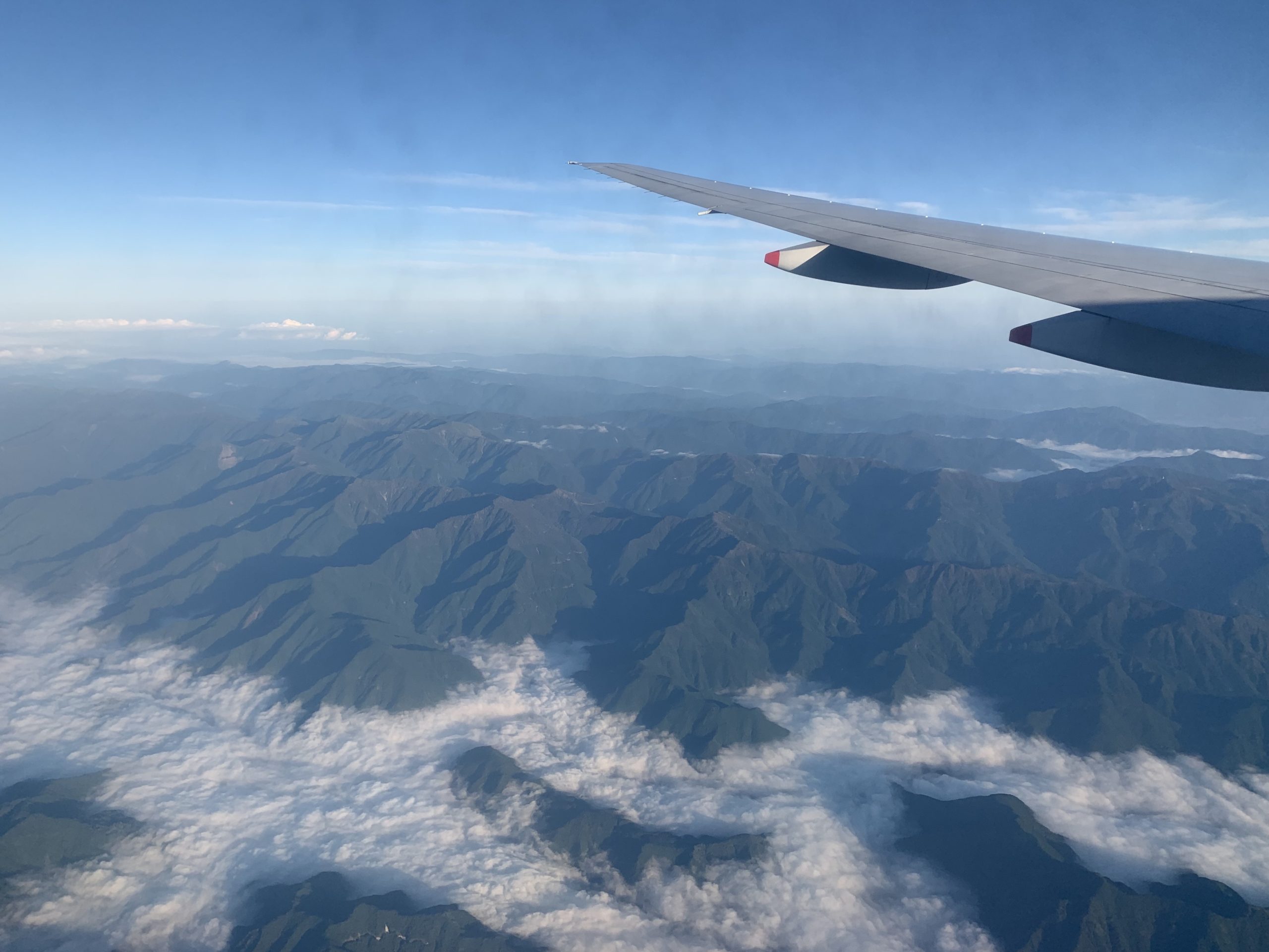 徳島県から盆栽をお売りになりたい方へ