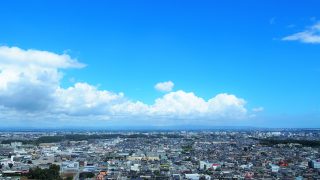 水戸市から盆栽をお売りになりたい方へ