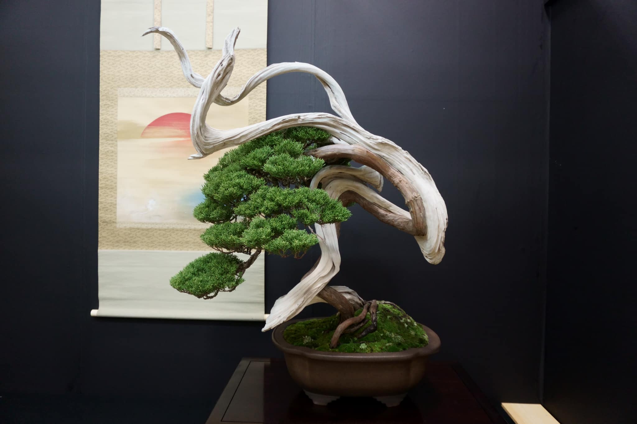 仙台市から盆栽をお売りになりたい方へ