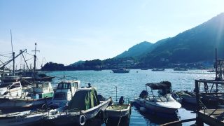 福山市から盆栽をお売りになりたいかたへ