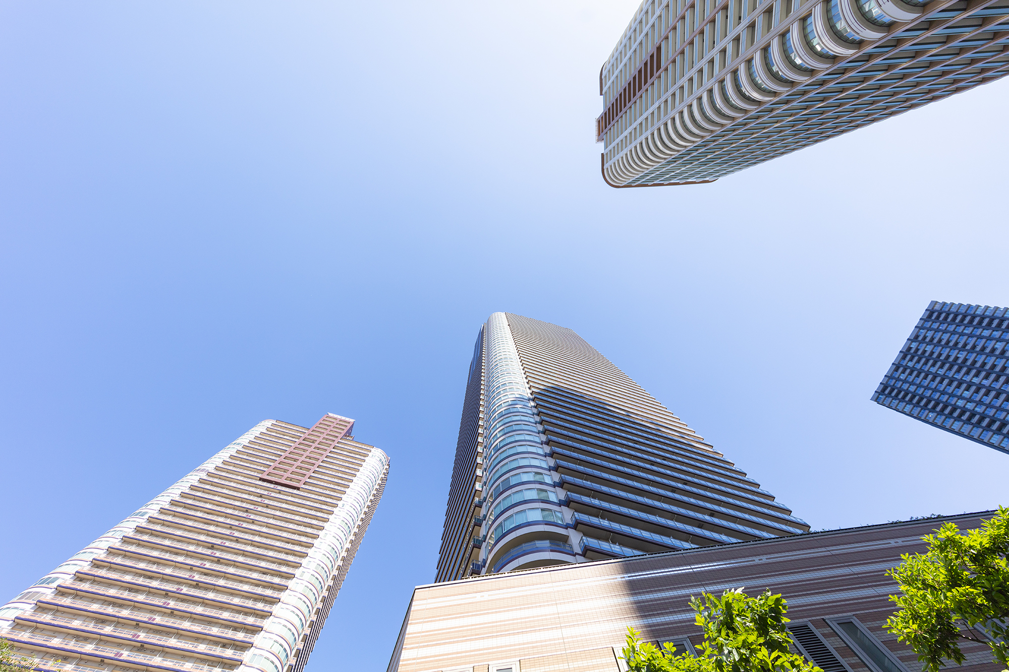 川崎市から盆栽をお売りになりたい方へ