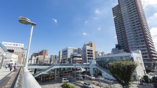 相模原市から盆栽をお売りになりたい方へ