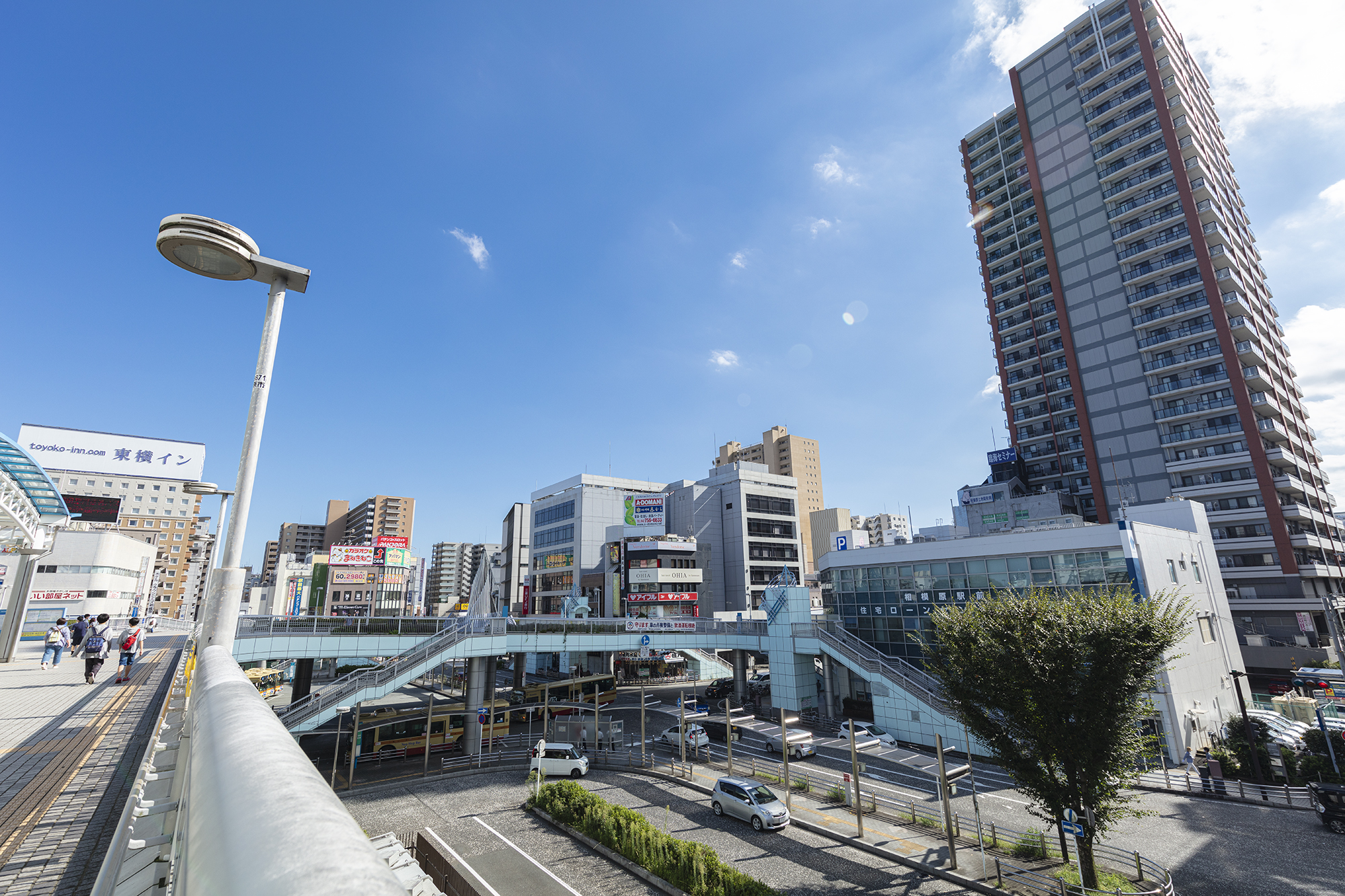 相模原市から盆栽をお売りになりたい方へ