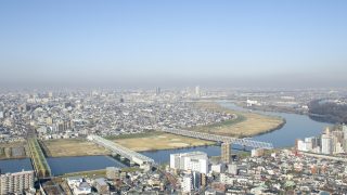 江戸川区から盆栽をお売りになりたい方へ