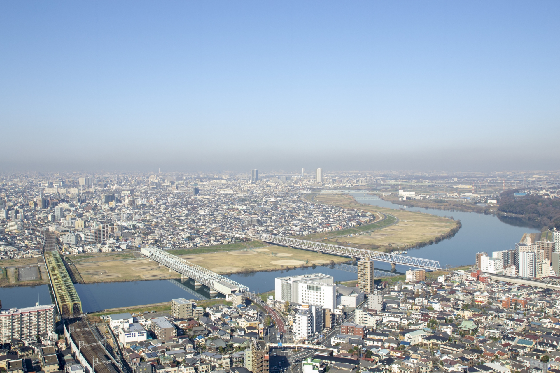江戸川区から盆栽をお売りになりたい方へ