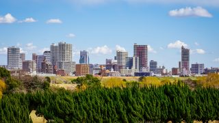 川口市から盆栽をお売りになりたい方へ