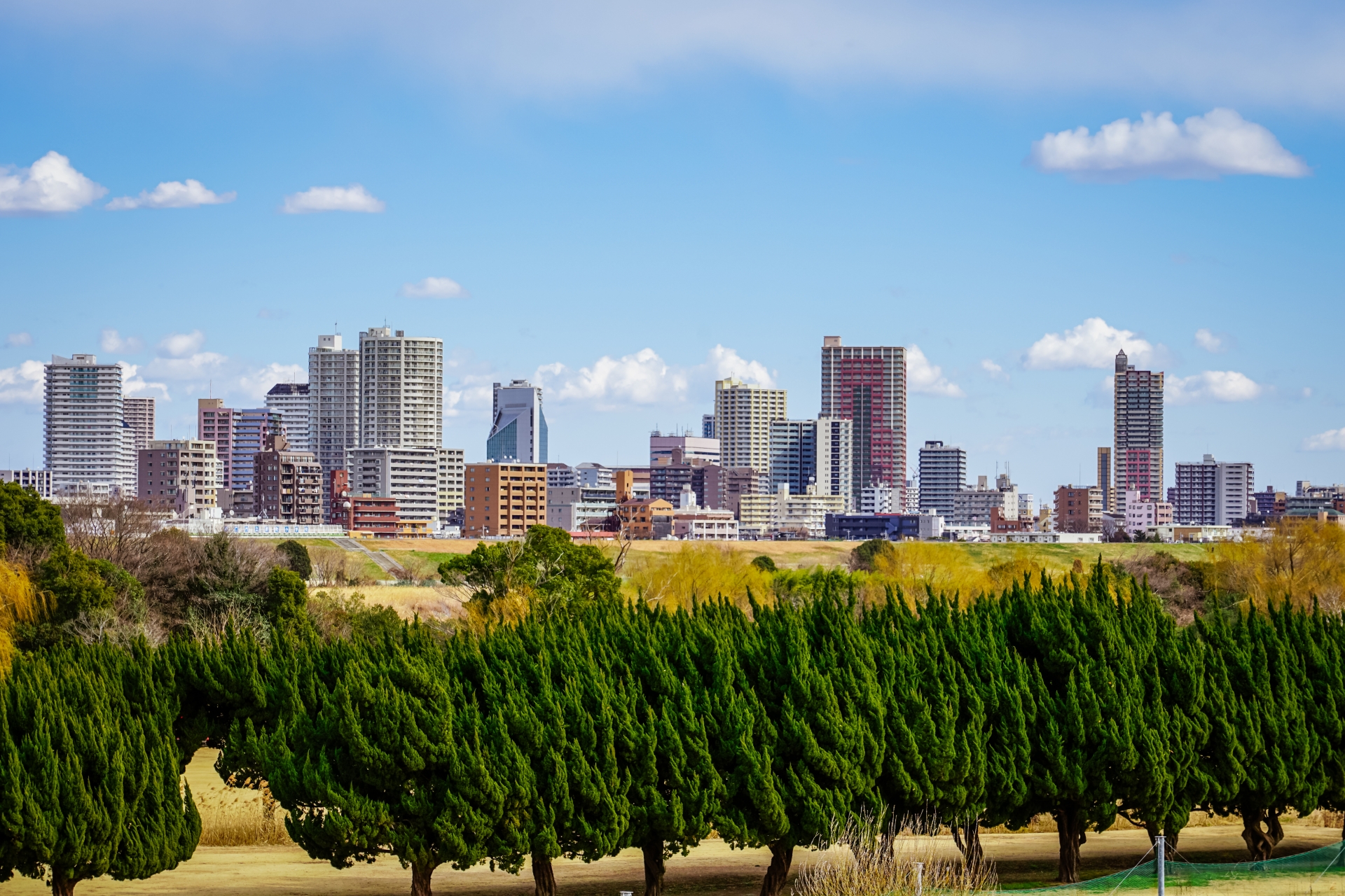 川口市から盆栽をお売りになりたい方へ