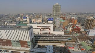 船橋市から盆栽をお売りになりたい方へ