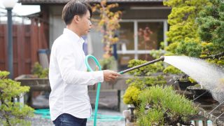 お盆に盆栽をお売りになりたい方へ。1つのポイントに注意をお願いいたします。