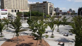 新潟市から盆栽をお売りになりたい方へ