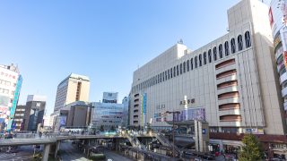 八王子市から盆栽をお売りになりたい方へ
