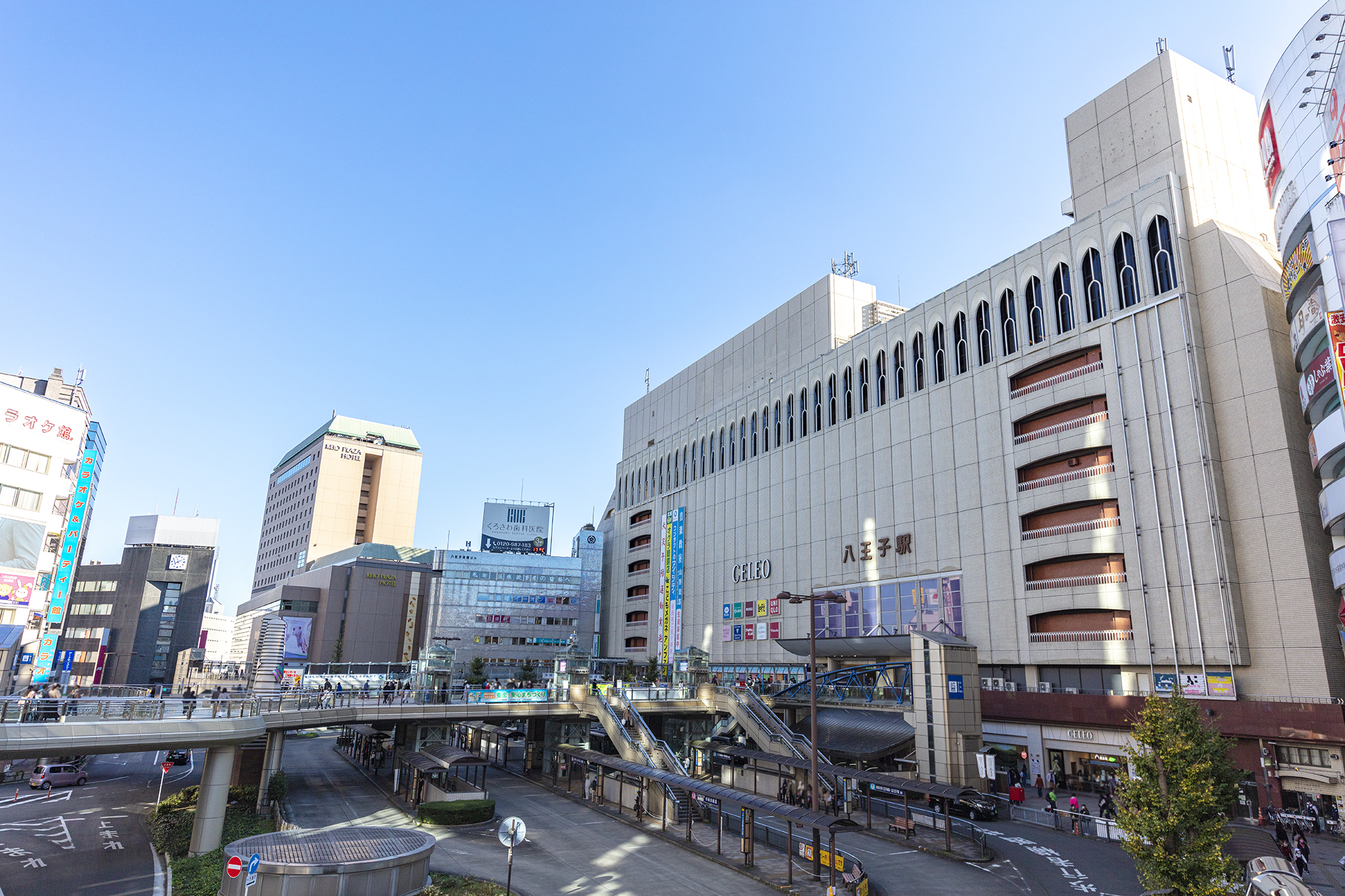 八王子市から盆栽をお売りになりたい方へ
