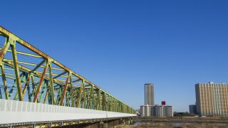 市川市から盆栽をお売りになりたい方へ