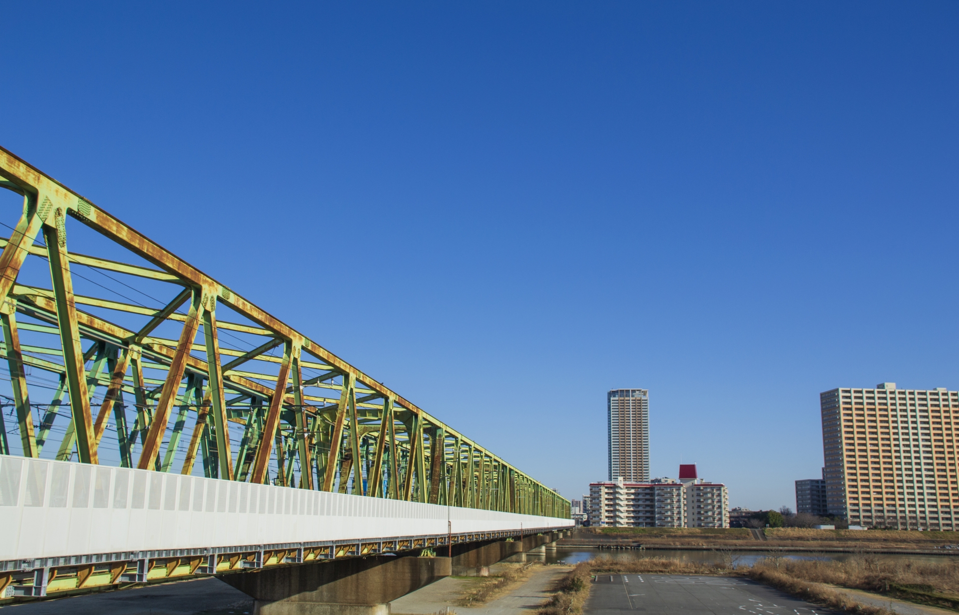 市川市から盆栽をお売りになりたい方へ