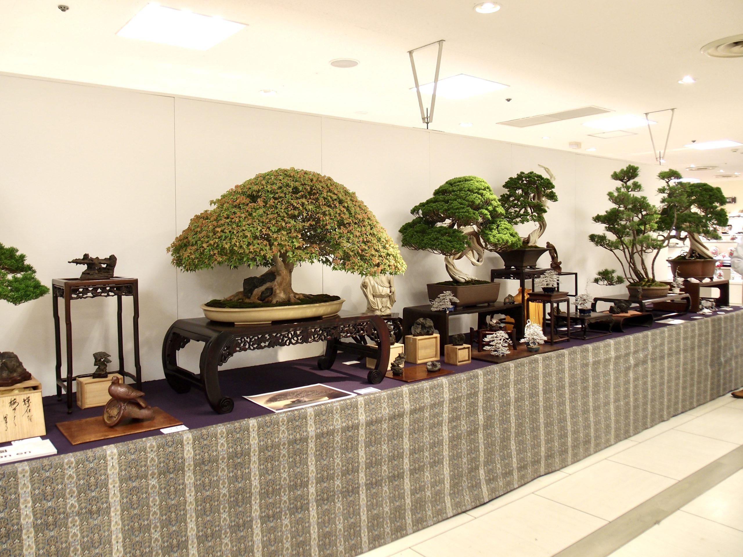 倉敷市の盆栽買取なら岳盆栽へ！