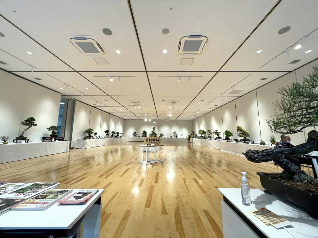 盆栽の展示会