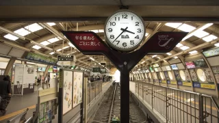 藤沢市から盆栽をお売りになりたいかたへ