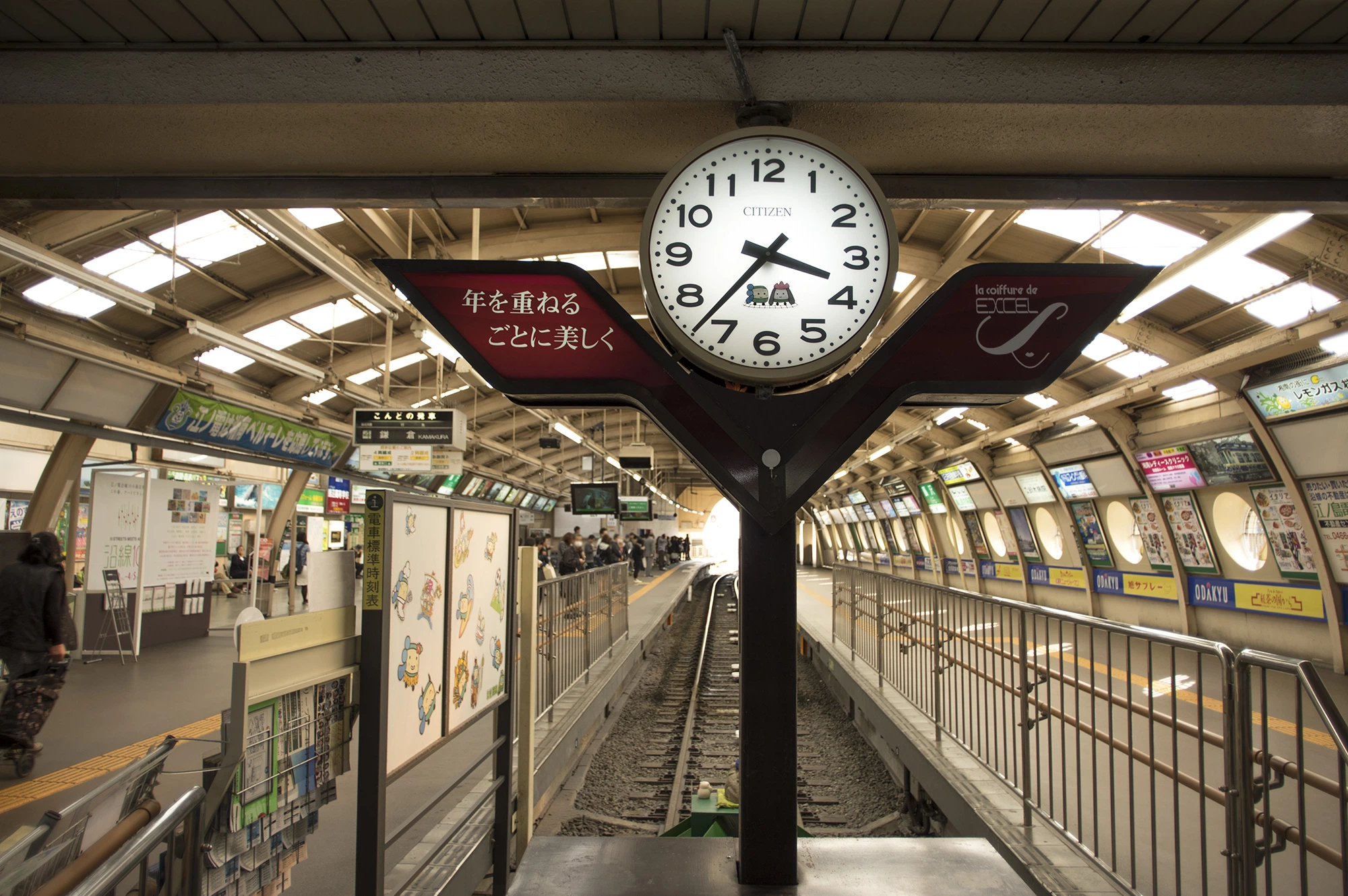 藤沢市から盆栽をお売りになりたいかたへ