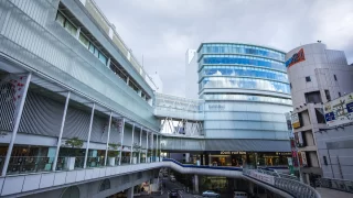 柏市から盆栽をお売りになりたい方へ