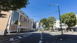 町田市から盆栽をお売りになる方法について解説