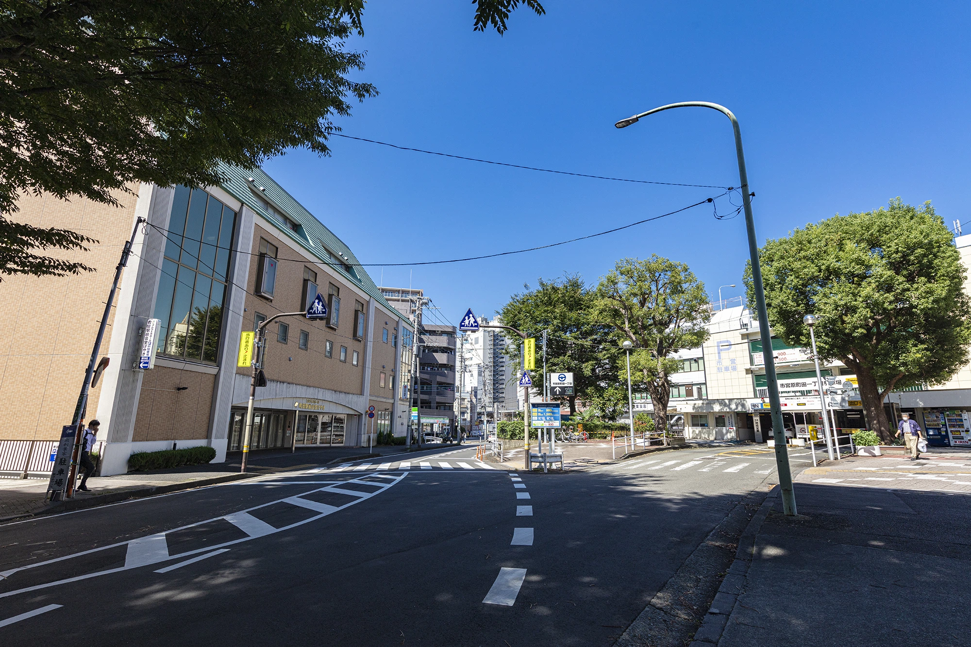 町田市から盆栽をお売りになる方法について解説
