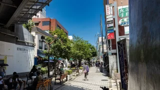 品川区から盆栽をお売りになりたい方へ