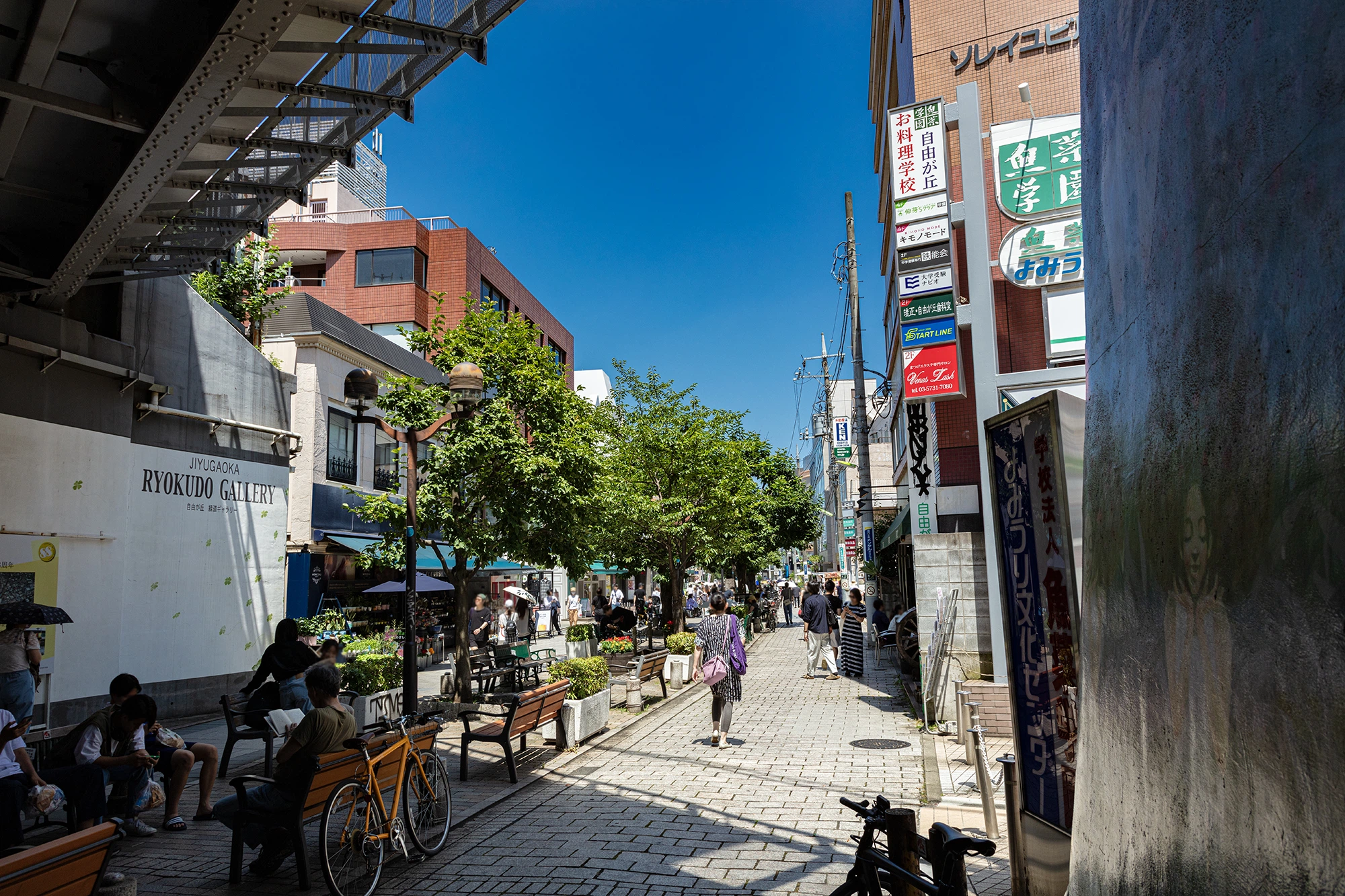 品川区から盆栽をお売りになりたい方へ