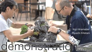 平松浩二氏 北谷隆一氏 ワークショップを取材しました。BONSAI LIFE ～盆栽に恋して in 阪急うめだ本店